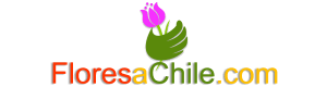 floresachile.com